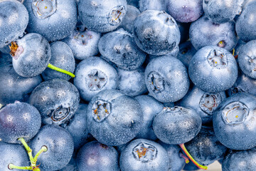 Ripe wet blueberries pattern background.