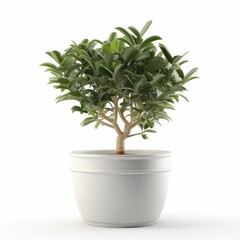 Plant in a pot on white background, generative ai