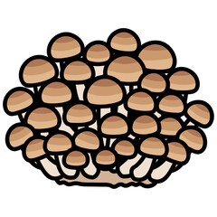 太い線で描かれたカットイラスト / 一株のぶなしめじ