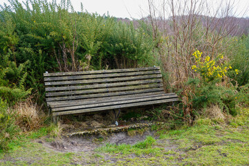 Old wooden bench in woodland 