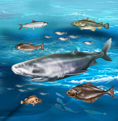 Fish of the Arctic Ocean and northern seas