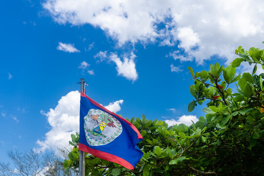Close-up of Belize flag waving against blue sky