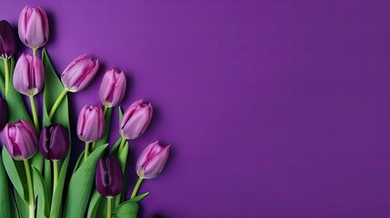 Tulips border with copy space on a colored background. Beautiful frame composition of spring flowers. Generative AI