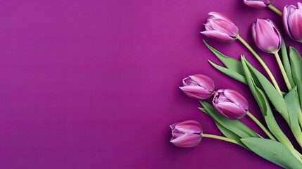 Tulips border with copy space on a colored background. Beautiful frame composition of spring flowers. Generative AI