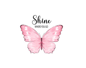 butterfly on a white background