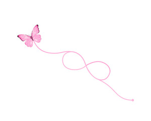 pink butterfly on a white background