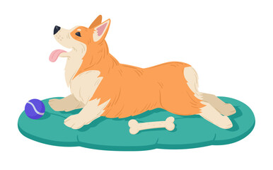 Cute resting corgi. Cartoon cute corgi dog, happy domestic pedigree puppy flat vector illustration on white background