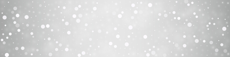 Light Snowflake Vector Silver Panoramic