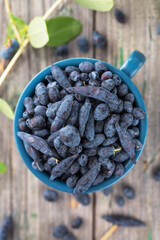 Juicy honeysuckle in a blue cup