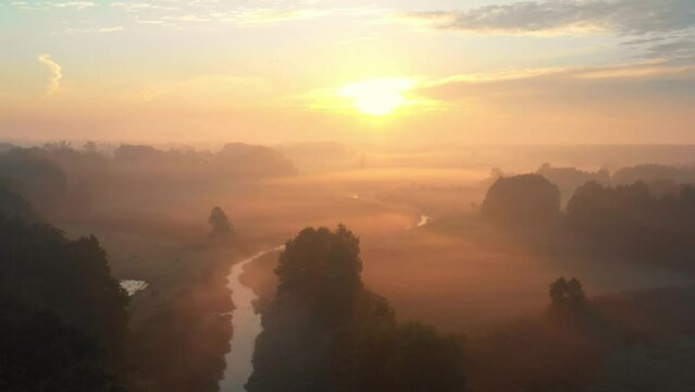 Summer sunrise over meadow. Fields with river and fog in the morning. Summer scenic background.