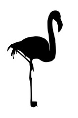flamingo silhouette