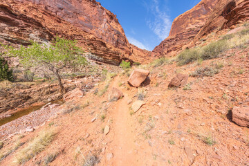 hiking the syncline loop trail in island in the sky district of canyonlands national park, utah, usa