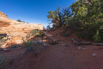 Obraz premium hiking the broken arch trail in arches national park, utah, usa