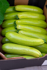 Fresh ripe green courgette or zucchini in box, new harvest on organic farm in the Netherlands