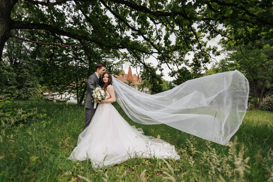 Happy young couple standing under a tree. The bride's veil flutters in the wind. The bride tenderly hugged her groom. Young people are tenderly hugging while looking at the camera. Spring wedding