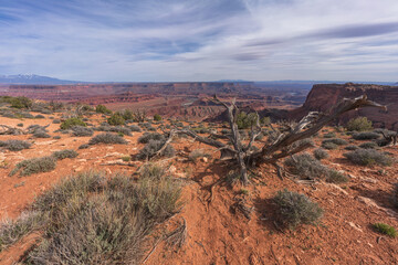 hiking the dead horse trail in dead horse point state park in utah, usa