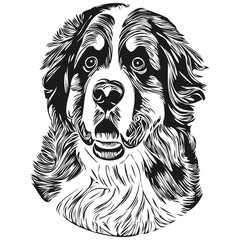 Bernese Mountain dog black and white vector logo, line art hand drawn vector pets illustration