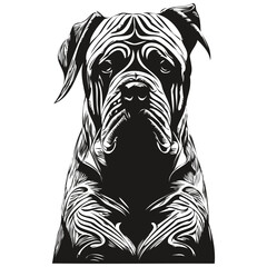 Cane Corso dog line art hand drawing vector logo black and white pets illustration