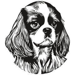 Cavalier King Charles Spaniels dog logo hand drawn line art vector drawing black and white pets illustration