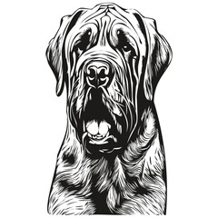 Mastiff dog hand drawn line art vector drawing black and white logo pets illustration