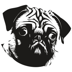 Pugs dog hand drawn line art vector drawing black and white logo pets illustration