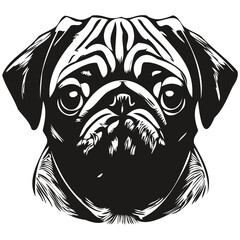 Pugs dog hand drawn vector line art drawing black and white logo pets illustration