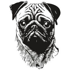 Pugs dog logo hand drawn line art vector drawing black and white pets illustration