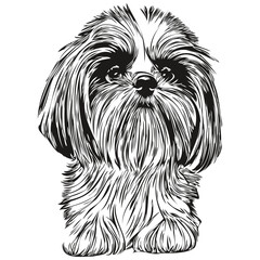 Shih Tzu dog logo hand drawn line art vector drawing black and white pets illustration