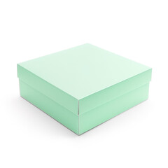 How to Add a Pop of Color to Your Storage with a Mint Colored Cardboard Box