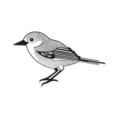 white black bird vector image,pj