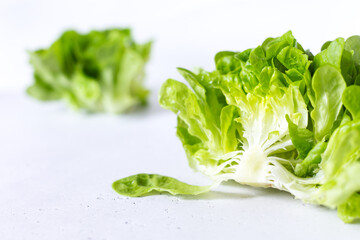  Fresh butter head of green lettuce leaves