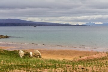plages de Red Point 