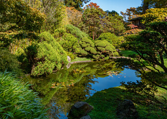 Fototapeta na wymiar 687-39 Japanese Tea Garden Pond - San Francisco