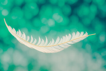 feather floating on air or feather suspended in mid-air with gradient glowing bokeh on the backgound