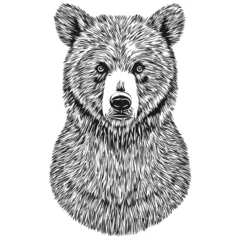 Fototapeten Hand drawn Bear on a white background, bruin © Сергей Тарасюк