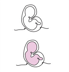 Continuous line drawing. Baby in womb on the white background. Vector illustration