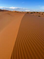 Merzouga, Morocco, Africa, panoramic view of the dunes in the Sahara desert, grains of sand forming small waves on the beautiful dunes at sunset 
