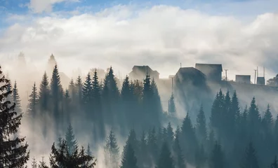 Fototapete Wald im Nebel Autumn Carpathian village, Ukraine.