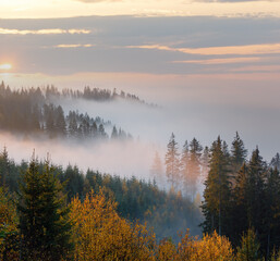 Autumn Carpathians, Ukraine.
