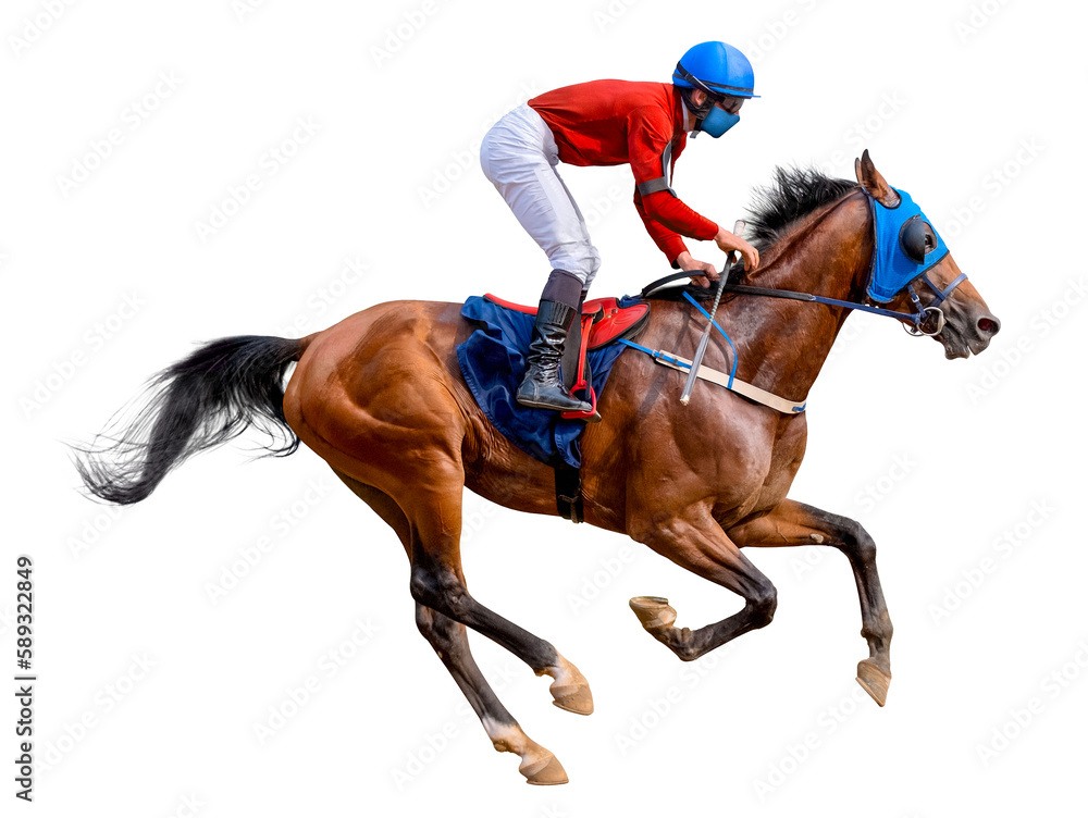 Wall mural horse racing jockey. sport. champion. racetrack. equestrian. derby. isolated on white background