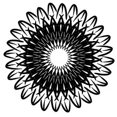 Flower symmetrical hand drawn illustration in black color 