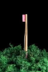 Eco friendly product concept. Zero waste bamboo toothbrush with pink bristle with stabilised green moss on black background. Biodegradable material. Natural organic wooden brush. Safe the earth.