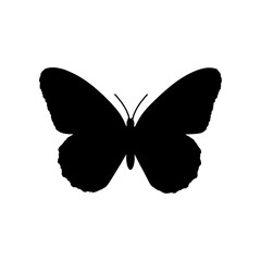 Butterfly icon isolated on white background. Insect illustration. Nature. Butterfly black pictogram illustration