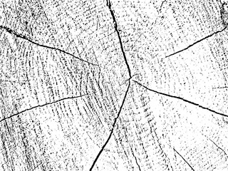 Raw and natural Vector grunge texture of an oak tree cross-section on monochrome sawn log background with cracks. Ideal as an overlay or stencil for unique designs