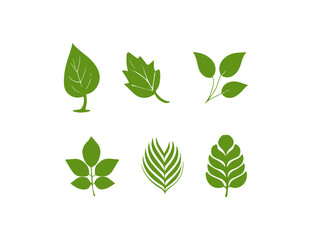 Leaf icon set. Vector illustration 