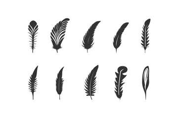 Feather icon set. Vector illustration