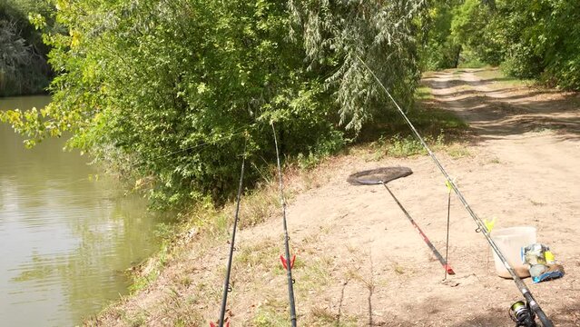 Fish bite on a rod catching a fish