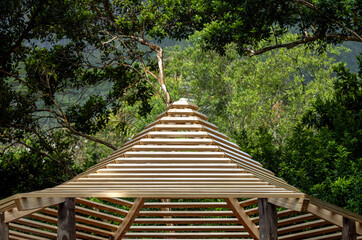 Obraz premium Teak Pagoda Sun Awning in a Green Rainforest Setting.