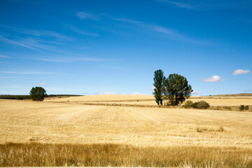 Castile and Leon region rural landscape, Spain - obrazy, fototapety, plakaty