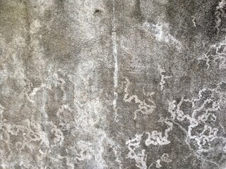 Fototapeta premium concrete wall texture